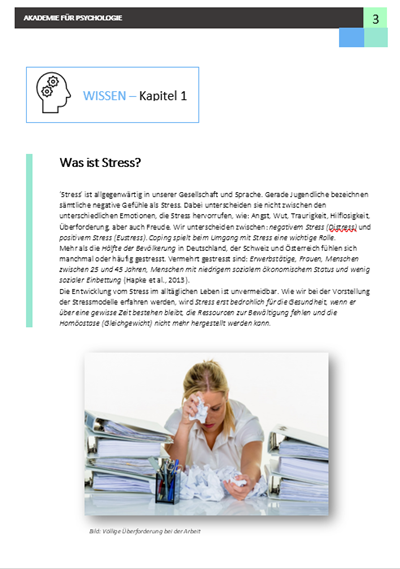 Modul Basisausbildung
