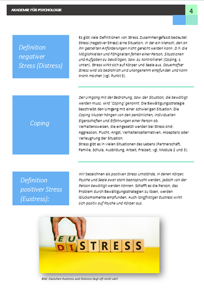 Modul Basisausbildung